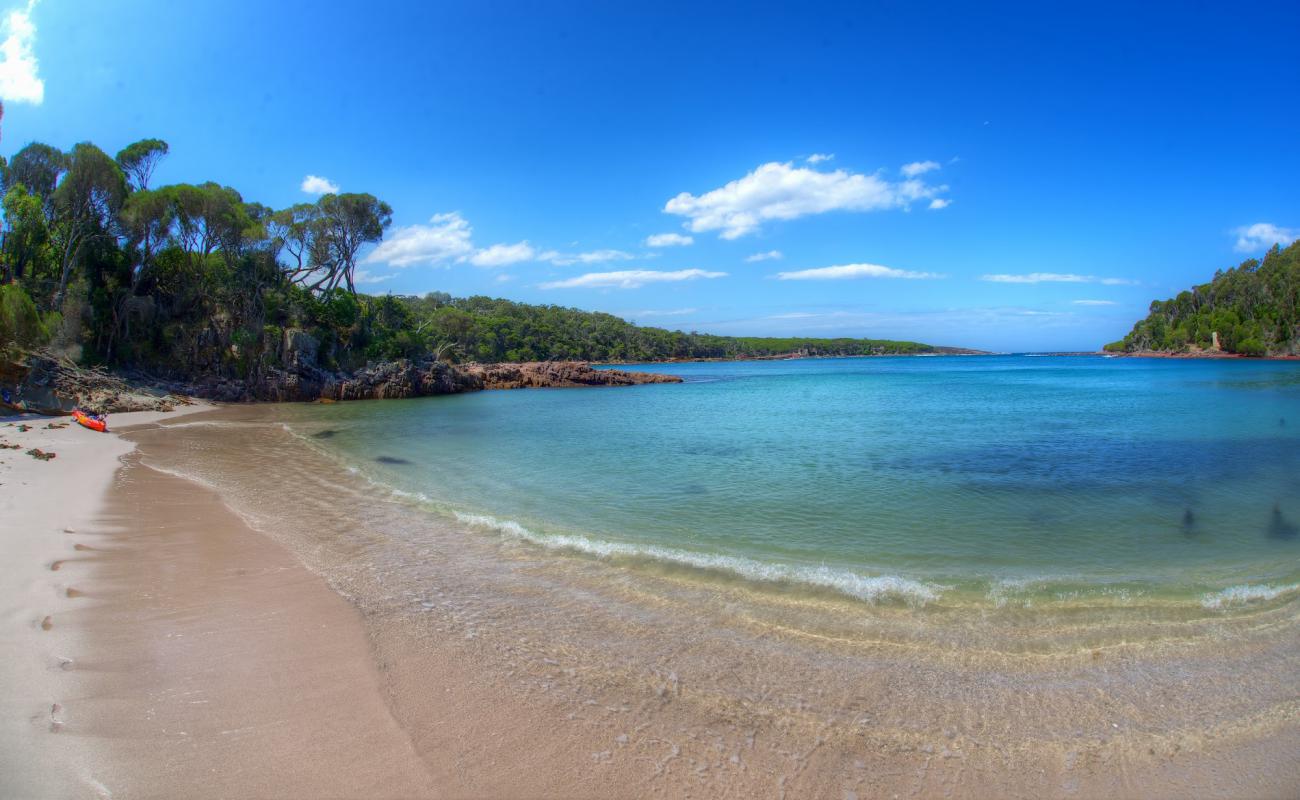 Bittangabee Bay'in fotoğrafı parlak kum yüzey ile