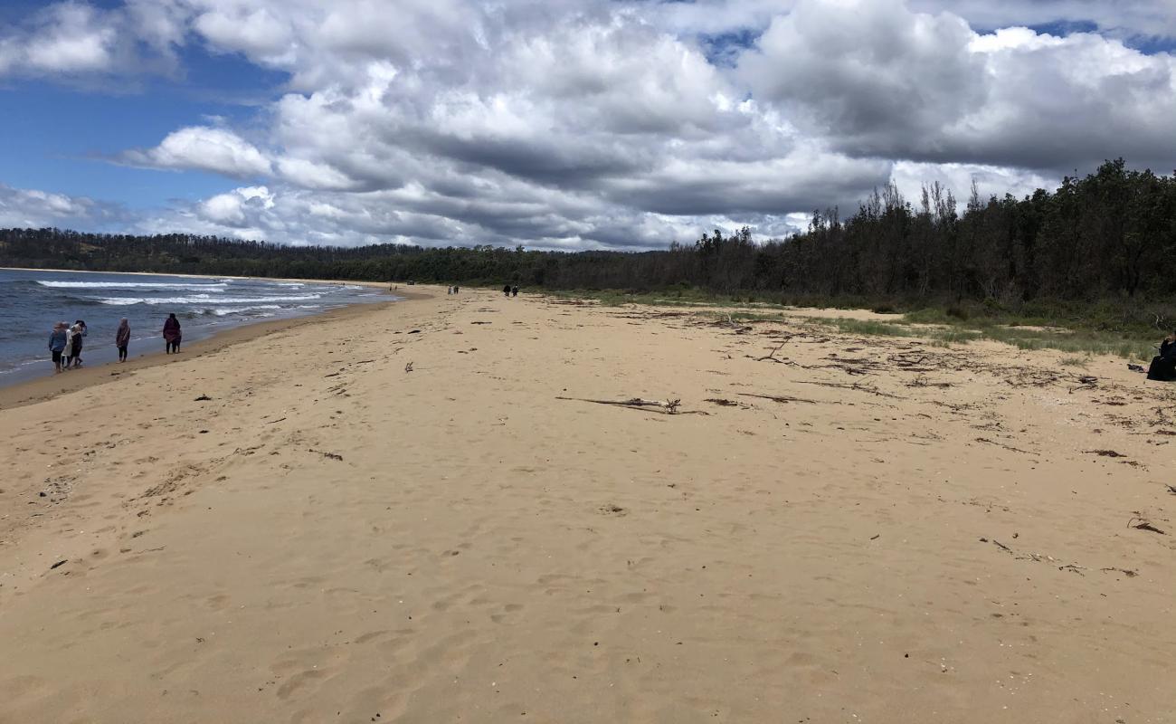 Boydtown Beach'in fotoğrafı parlak kum yüzey ile