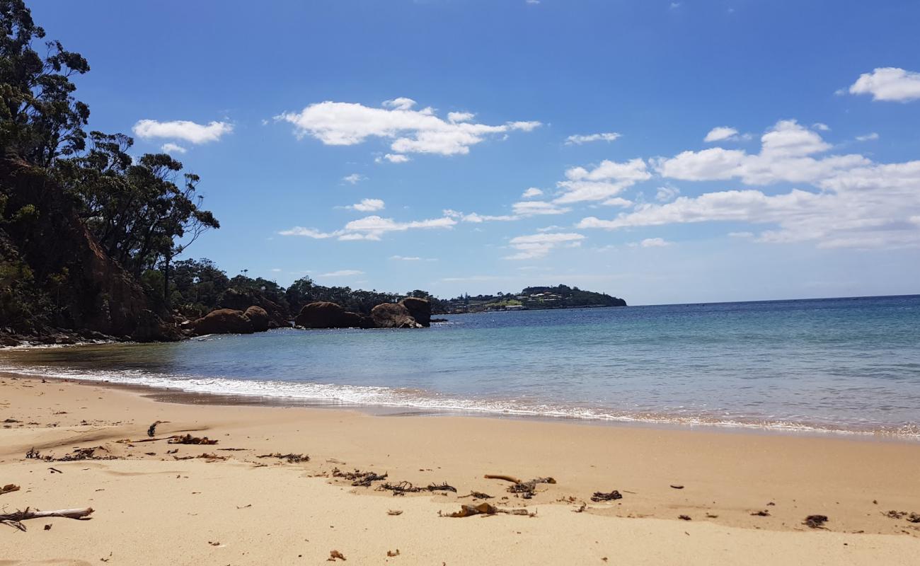 Bungo Beach'in fotoğrafı açık bej kum yüzey ile