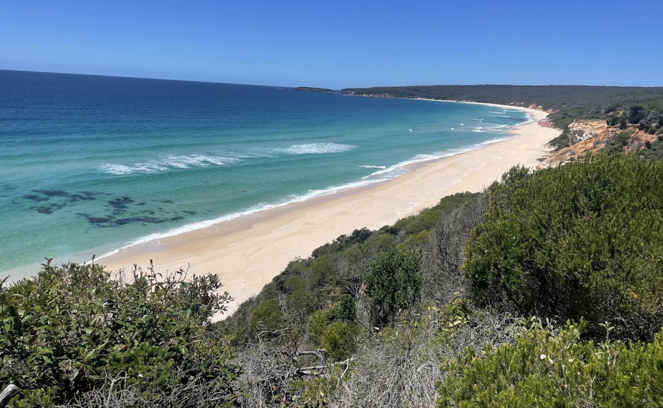 Pinnacles Beach'in fotoğrafı açık bej kum yüzey ile