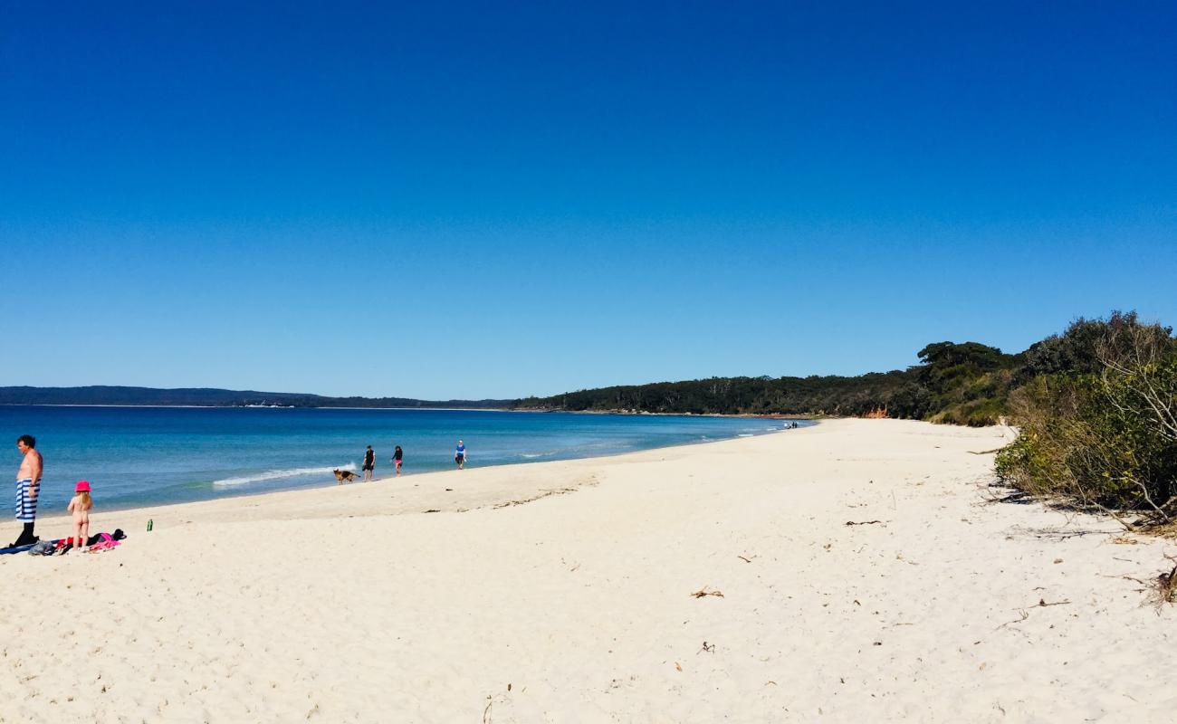 Nelson Beach'in fotoğrafı parlak ince kum yüzey ile