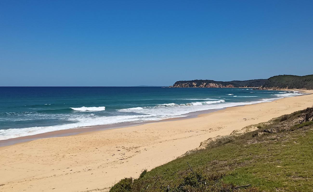 Gillards Beach'in fotoğrafı i̇nce bej kum yüzey ile