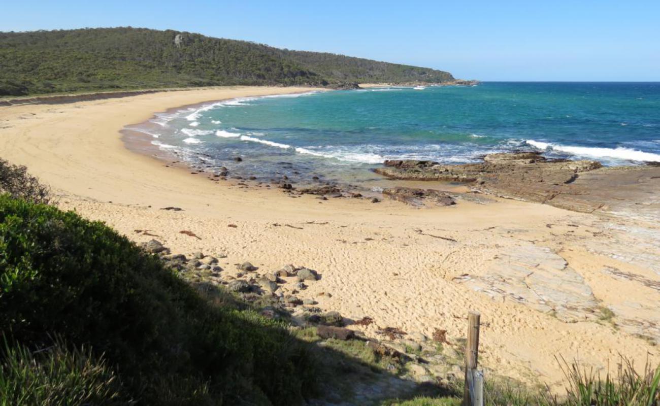 Picnic Beach'in fotoğrafı parlak kum yüzey ile