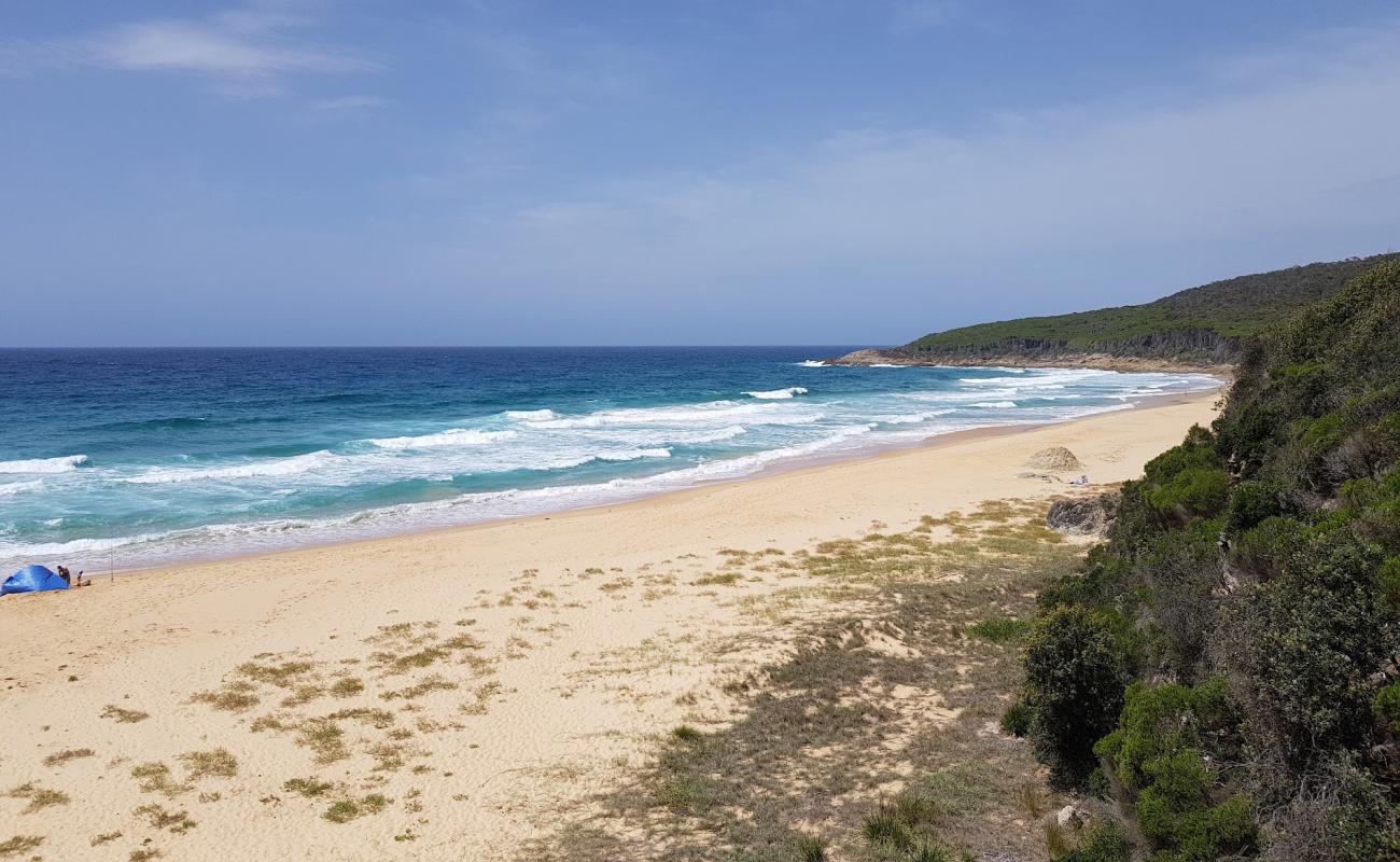 Aragunnu Beach'in fotoğrafı açık bej kum yüzey ile