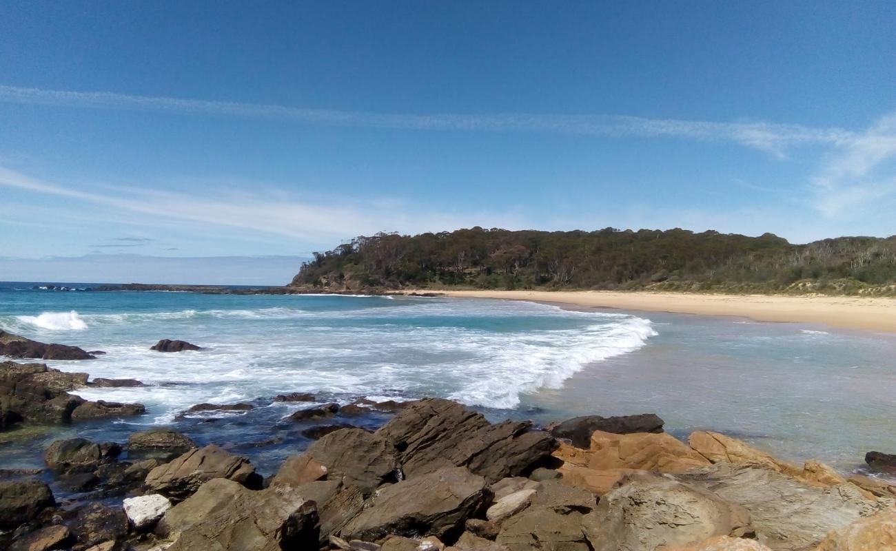 Barragga Bay Beach'in fotoğrafı parlak kum yüzey ile