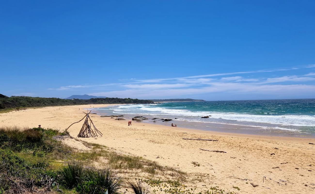 Cuttagee Beach'in fotoğrafı parlak kum yüzey ile