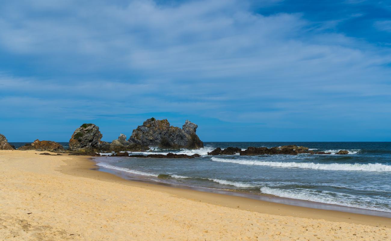 Haywards Beach'in fotoğrafı açık bej kum yüzey ile