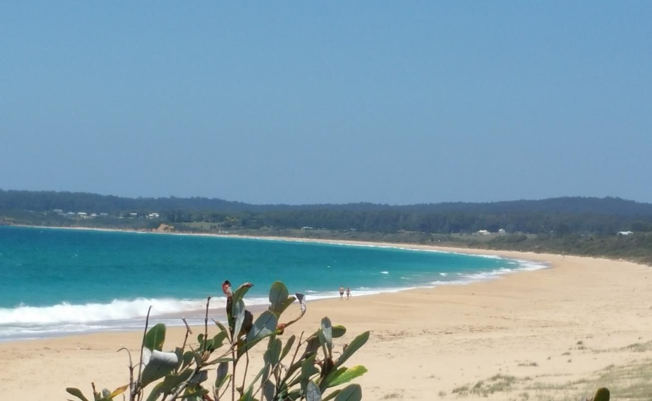 Wallaga Beach'in fotoğrafı parlak kum yüzey ile