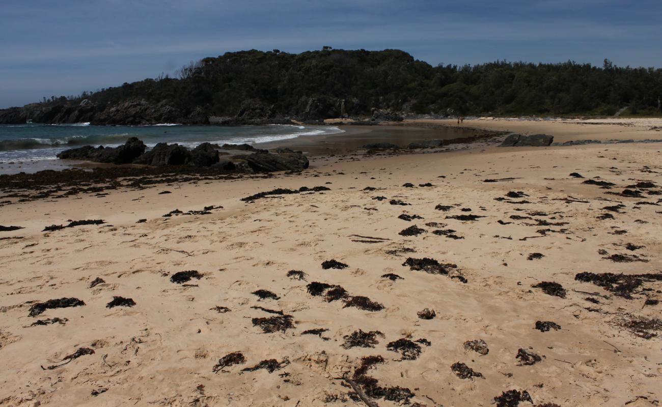 Mystery Beach'in fotoğrafı parlak kum yüzey ile