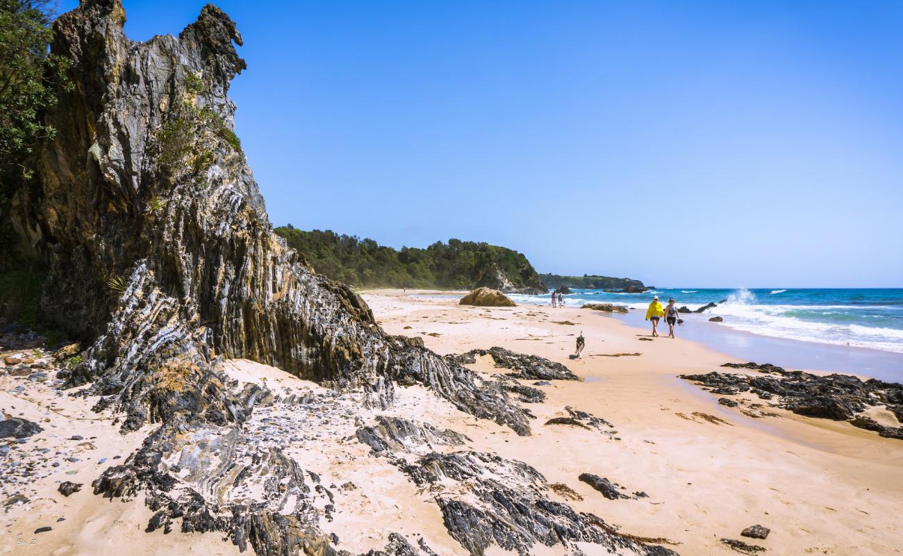 Narooma Beach'in fotoğrafı parlak kum yüzey ile