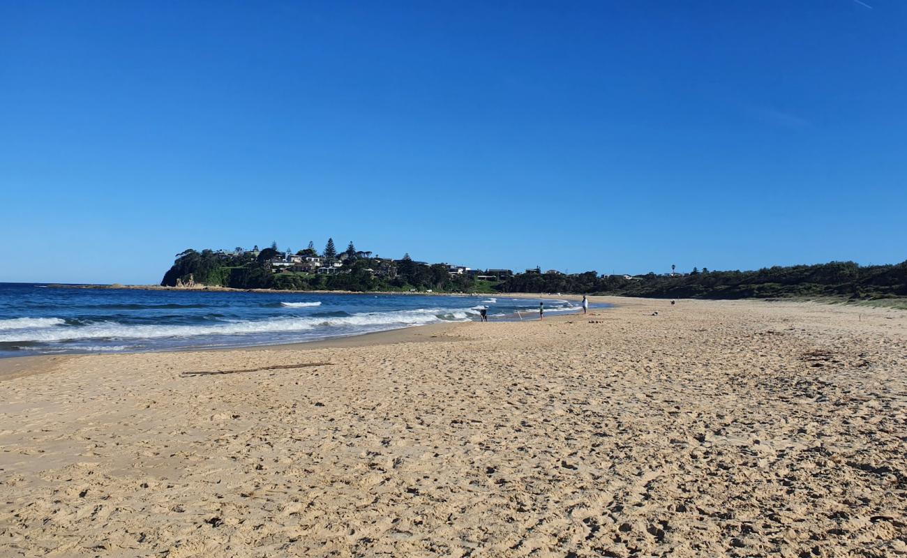 Potato Point Beach'in fotoğrafı parlak kum yüzey ile