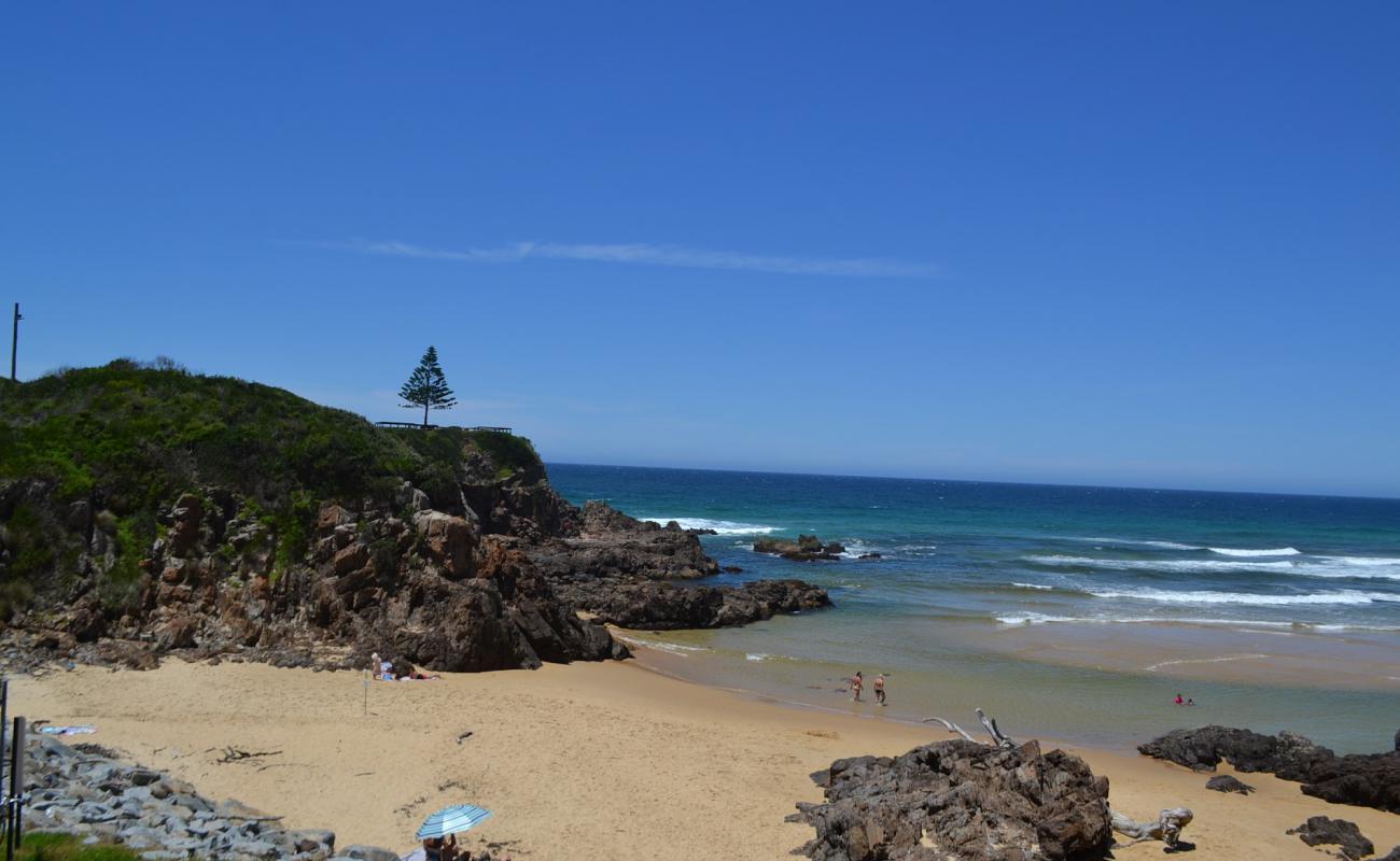 One Tree Beach'in fotoğrafı parlak kum yüzey ile