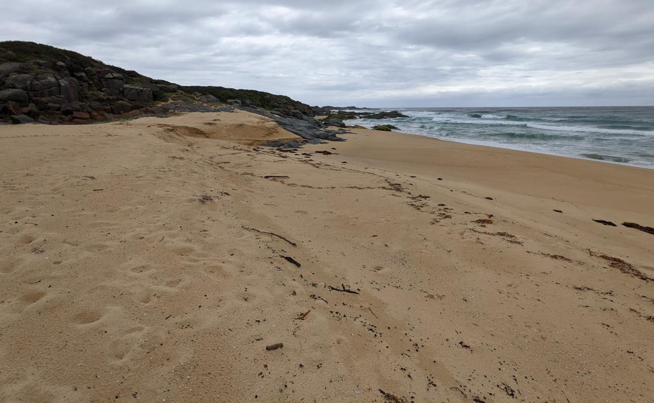 Coila Beach'in fotoğrafı parlak kum yüzey ile