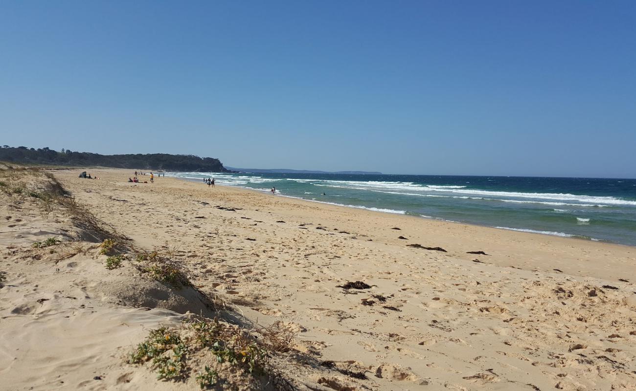 South Head Beach'in fotoğrafı parlak kum yüzey ile