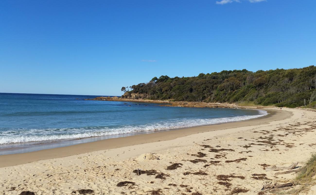 Shelly Beach'in fotoğrafı parlak kum yüzey ile