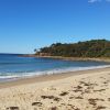 Shelly Beach