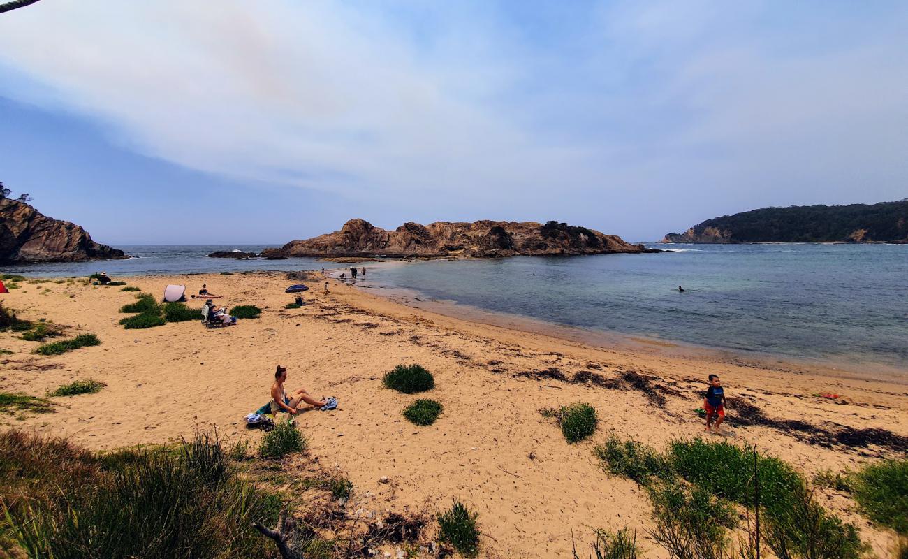 Guerilla Small Beach'in fotoğrafı açık bej kum yüzey ile