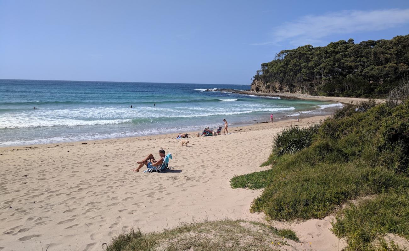 Mckenzies Beach'in fotoğrafı parlak kum yüzey ile