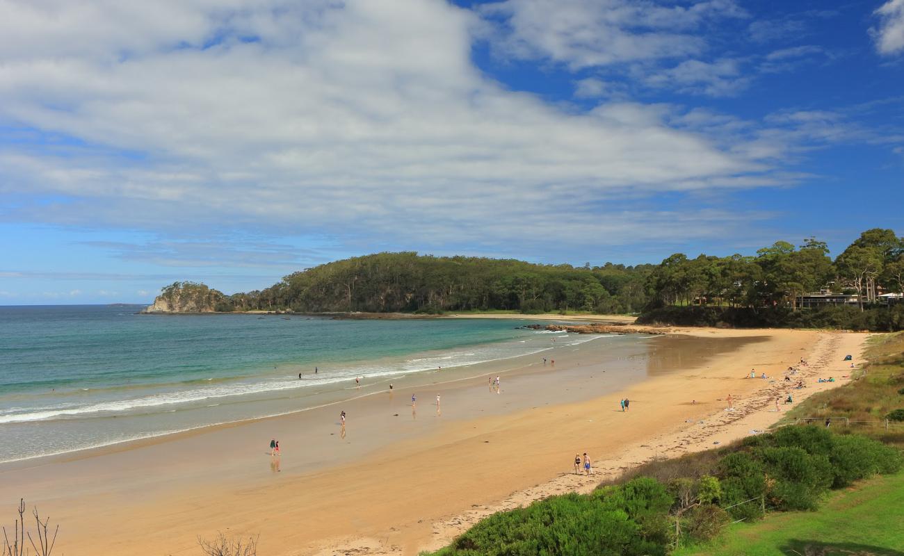 Surf Beach'in fotoğrafı parlak kum yüzey ile