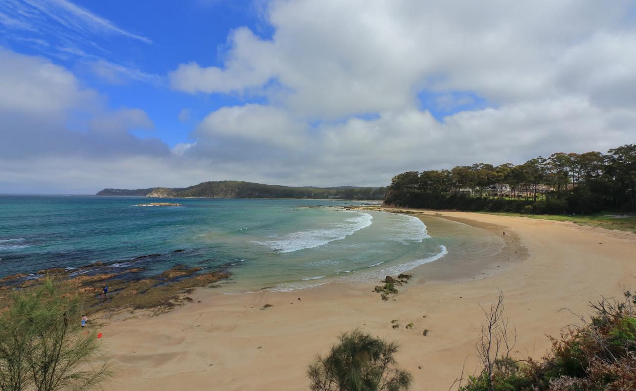 Denhams Beach'in fotoğrafı parlak kum yüzey ile