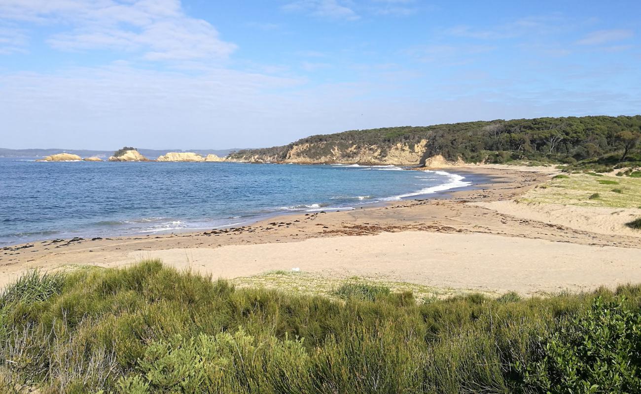 North Head Beach'in fotoğrafı parlak kum yüzey ile