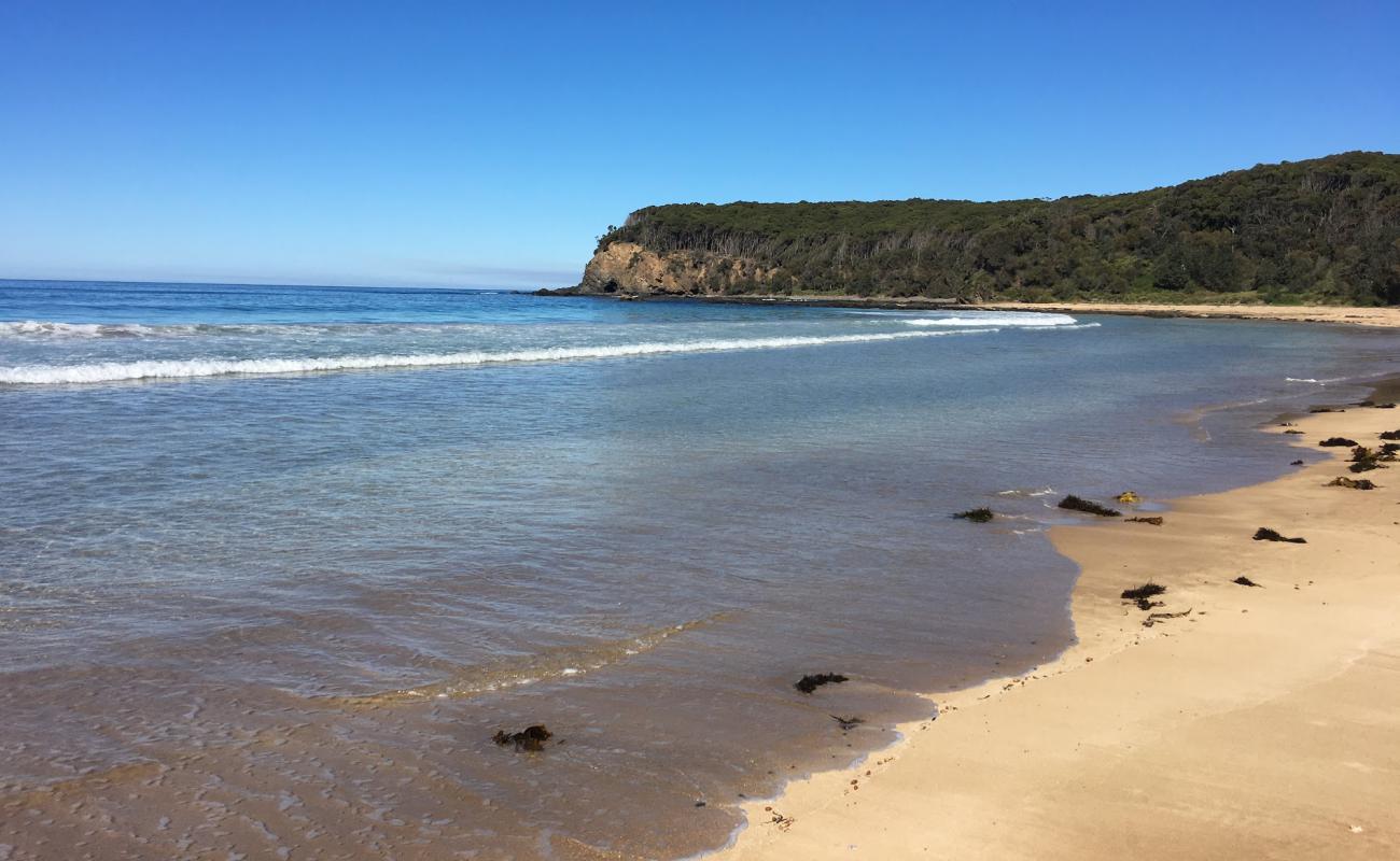 Oaky Beach'in fotoğrafı parlak kum yüzey ile