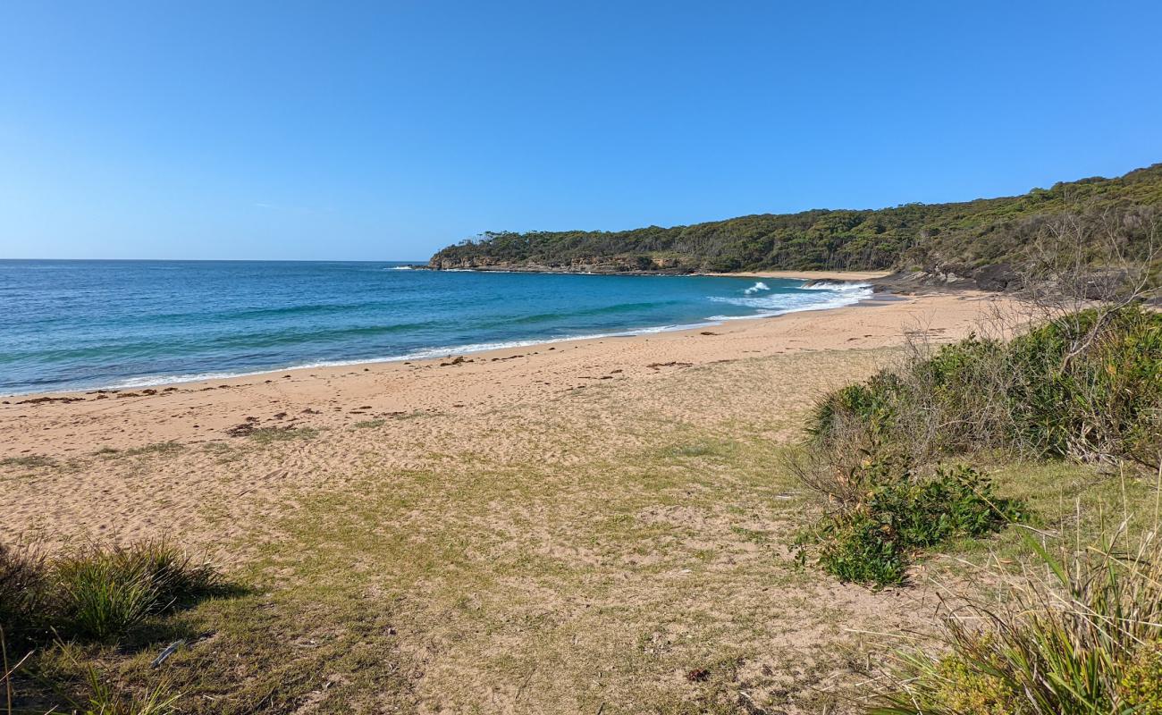 Emily Miller Beach'in fotoğrafı parlak kum yüzey ile