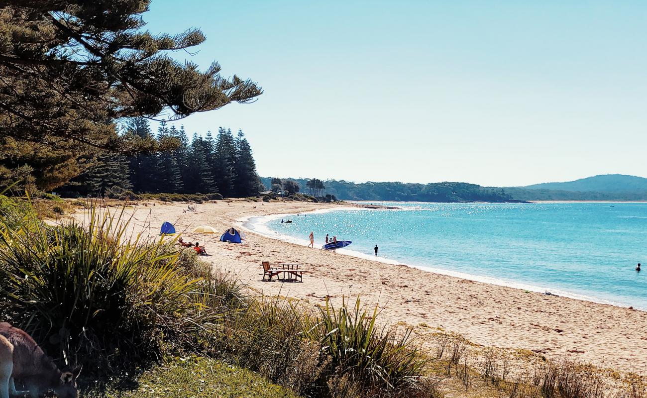 Mill Beach'in fotoğrafı parlak kum yüzey ile