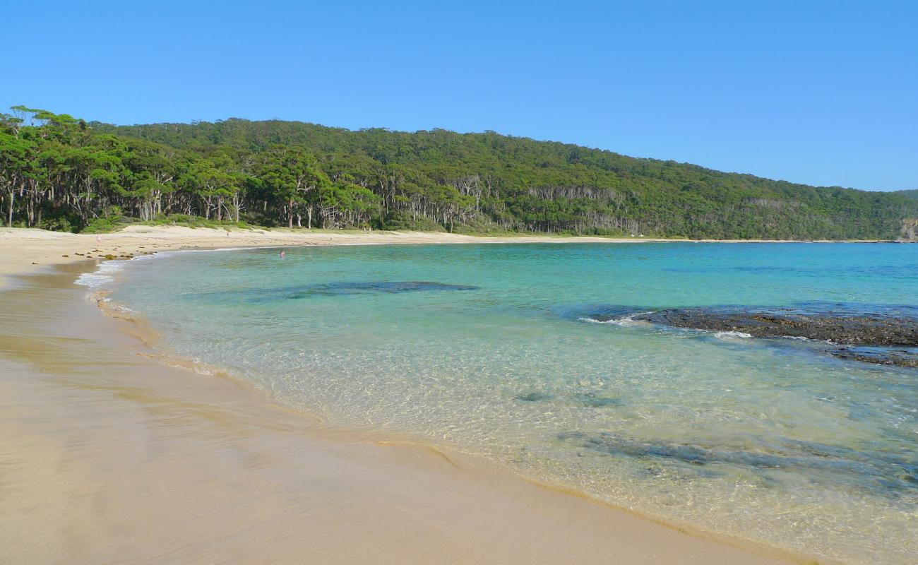 Depot Beach'in fotoğrafı parlak kum yüzey ile