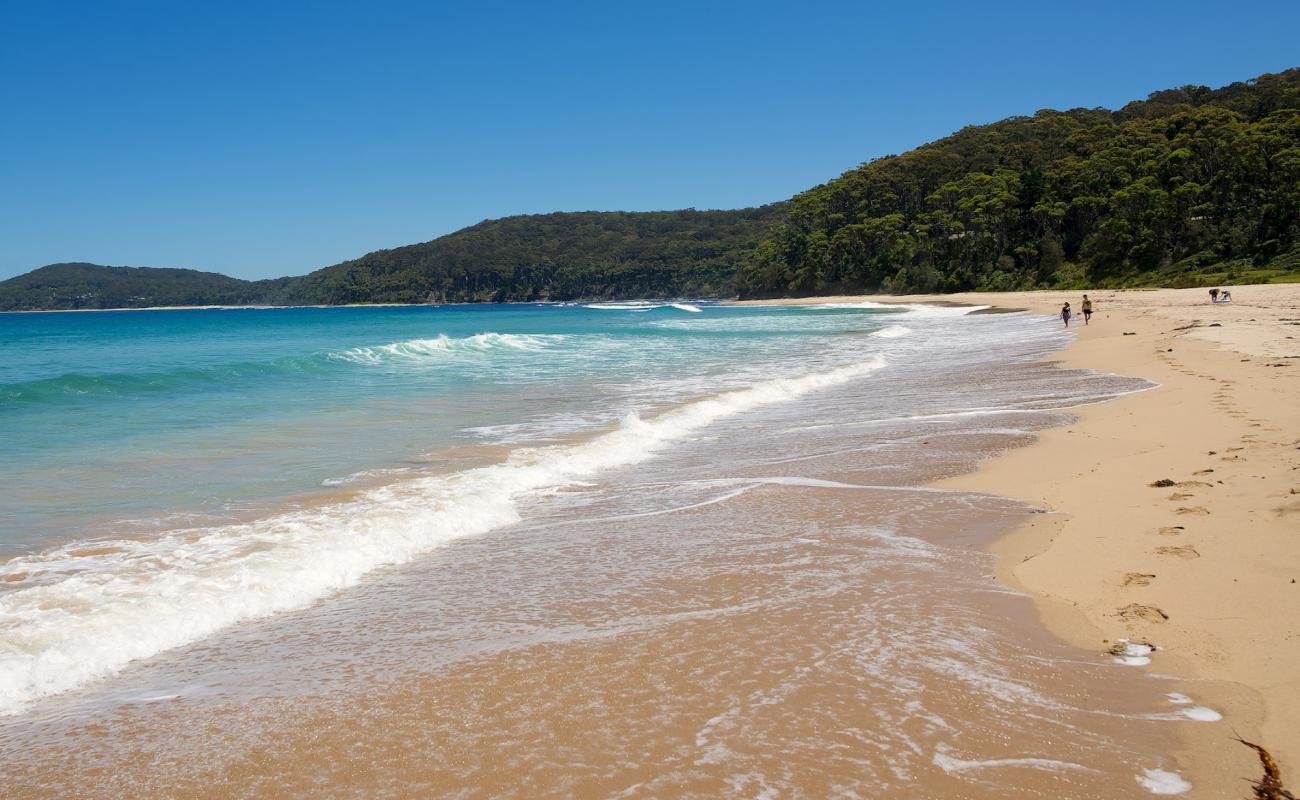 Pebbly Beach'in fotoğrafı açık bej kum yüzey ile