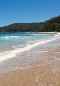 Shoalhaven Bölgesi