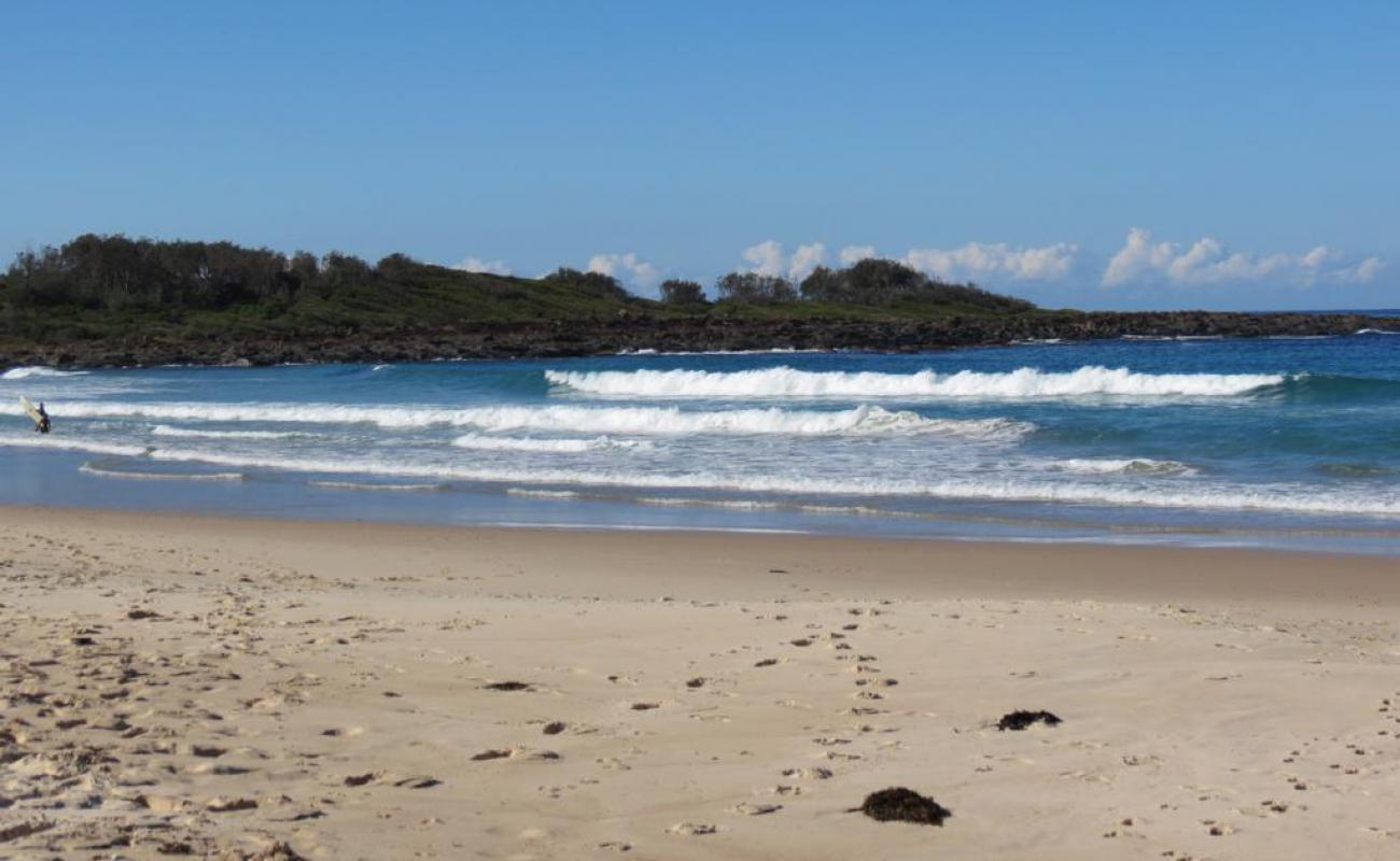 Shelly Beach'in fotoğrafı açık bej kum yüzey ile