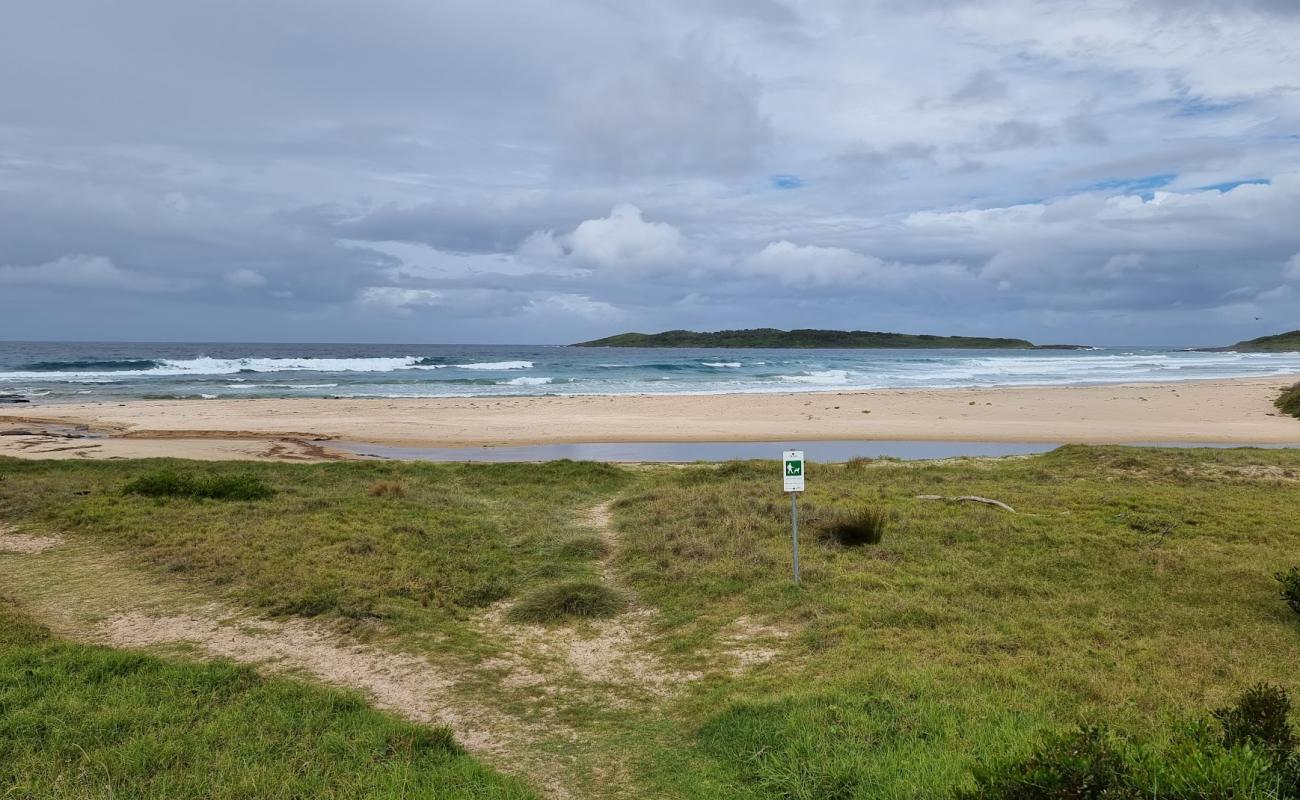 Murramarang Beach'in fotoğrafı parlak kum yüzey ile