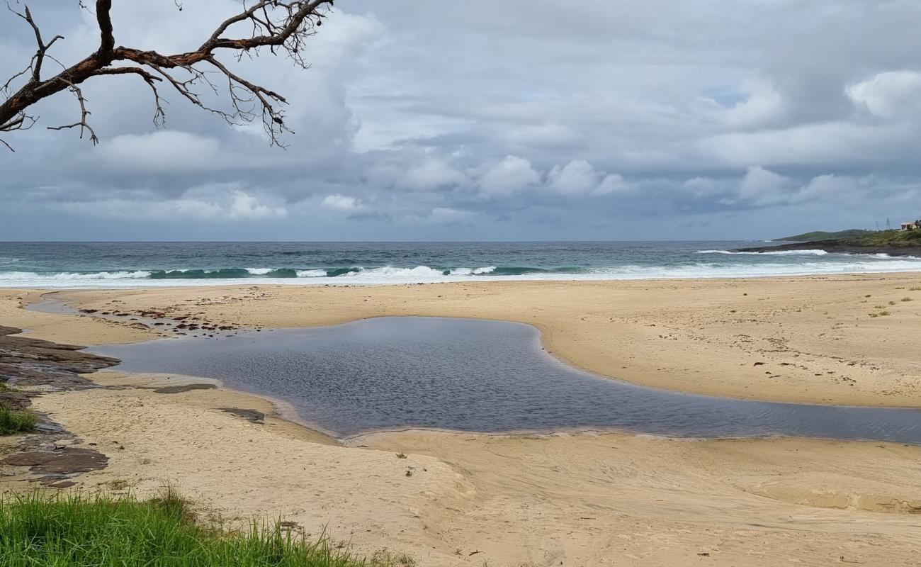 Cormorant Beach'in fotoğrafı açık bej kum yüzey ile