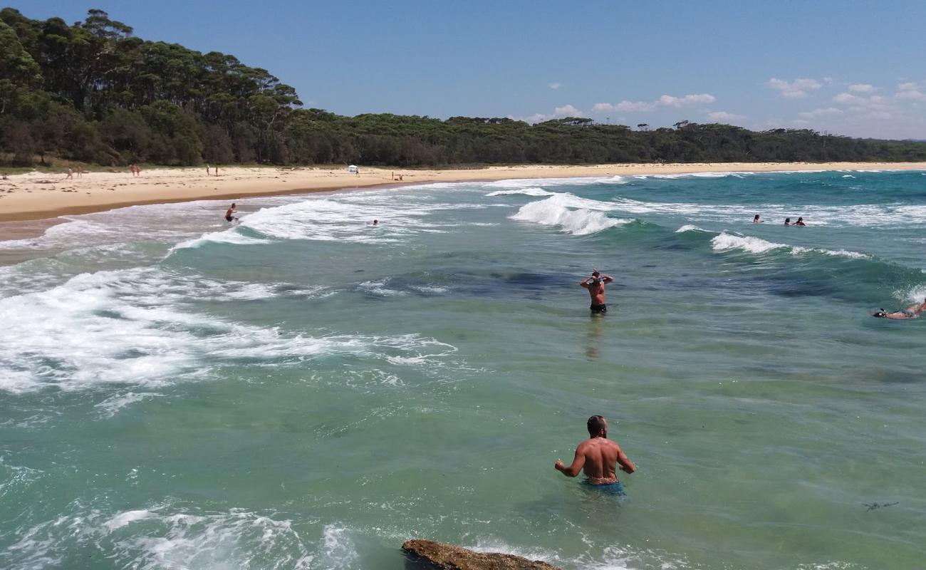 Termeil Beach'in fotoğrafı parlak kum yüzey ile