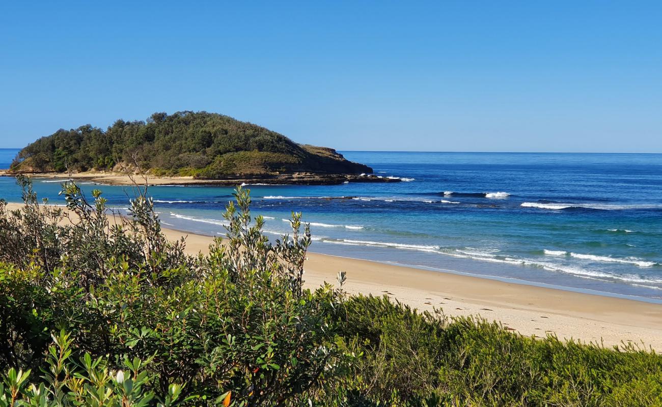 Tabourie Beach'in fotoğrafı parlak ince kum yüzey ile