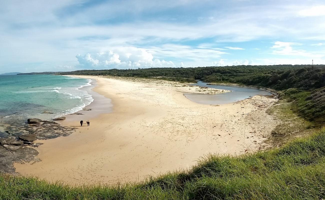 Racecourse Beach'in fotoğrafı i̇nce bej kum yüzey ile