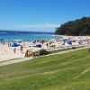 Mollymook Beach