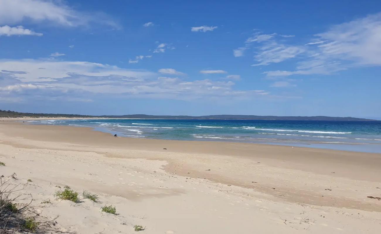Bherwherre Beach'in fotoğrafı açık bej kum yüzey ile