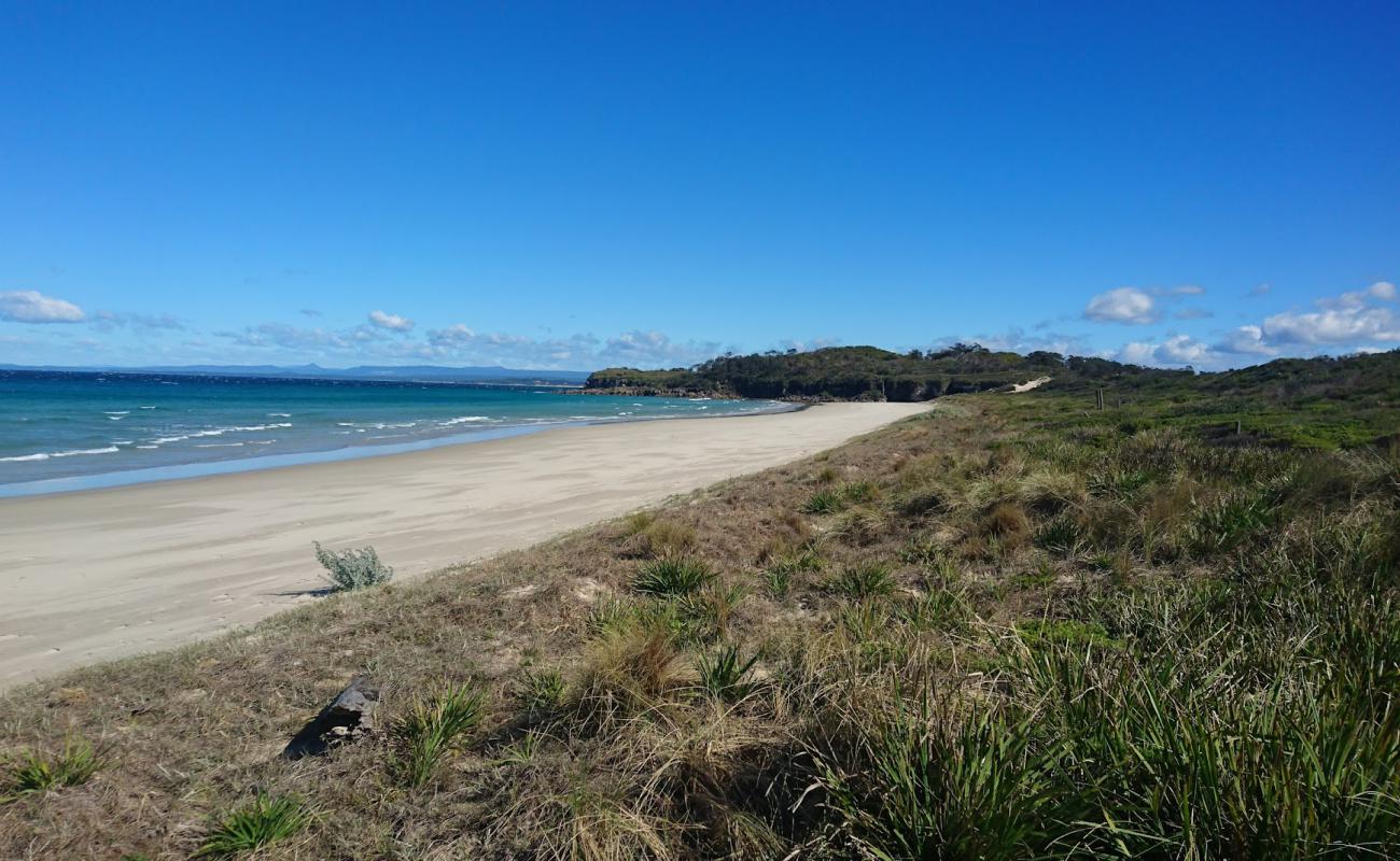 Cave Beach'in fotoğrafı parlak ince kum yüzey ile