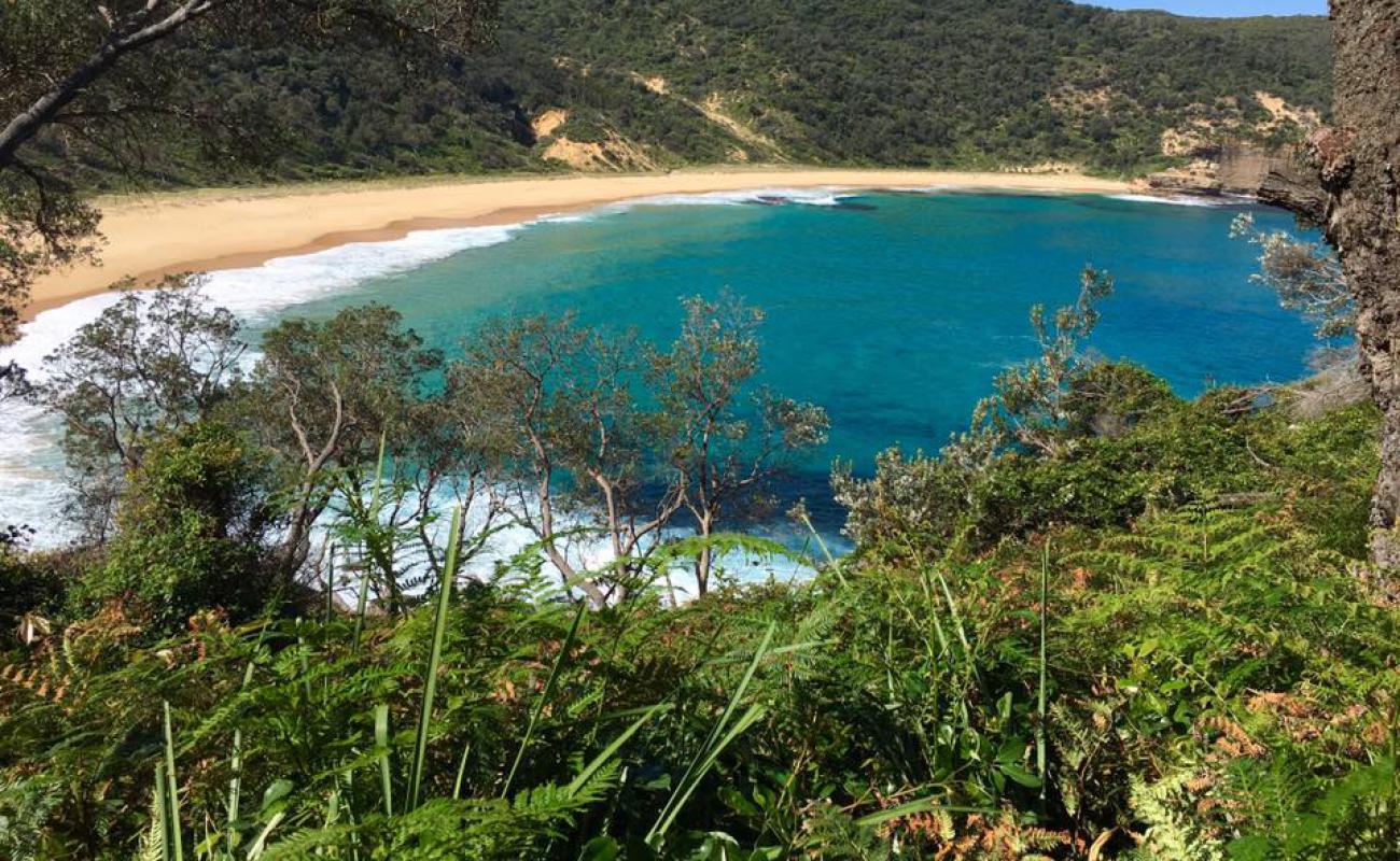 Steamers Beach'in fotoğrafı parlak kum yüzey ile