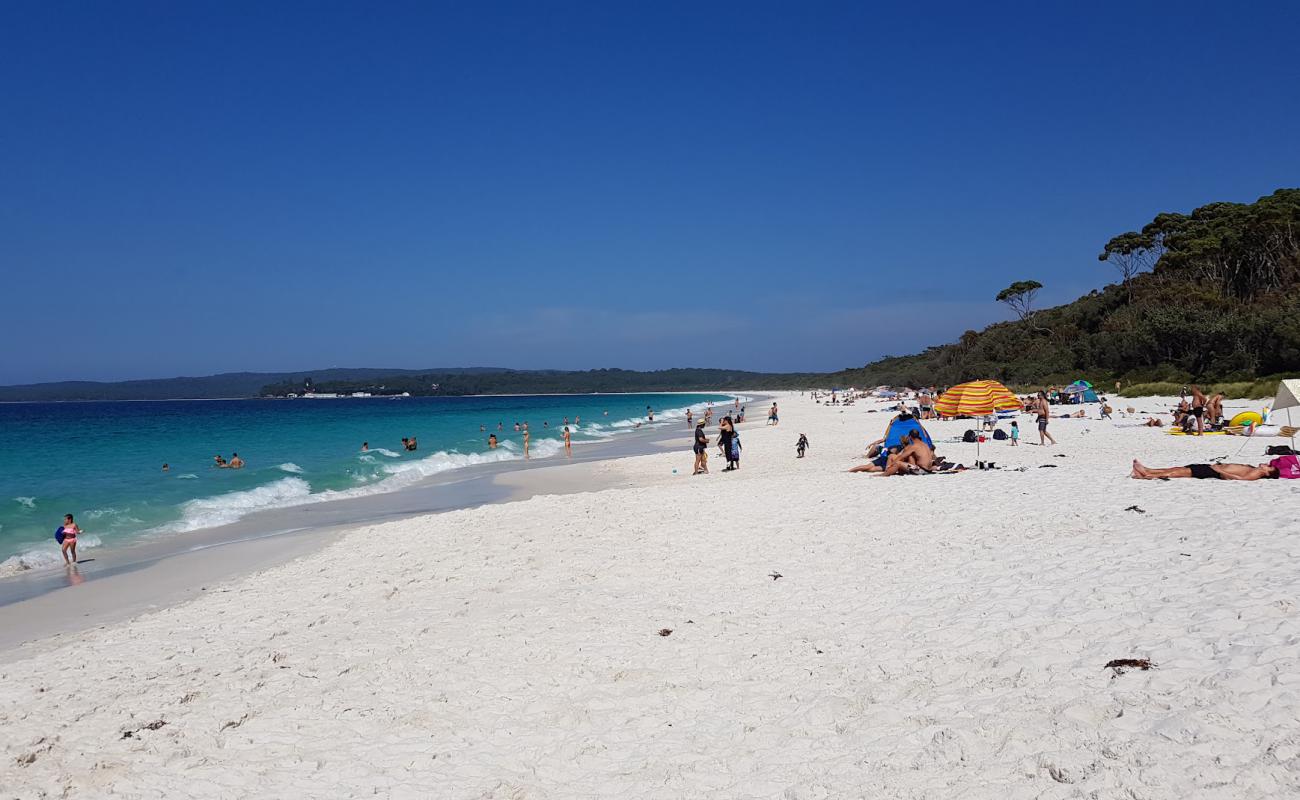 Hyams Beach'in fotoğrafı beyaz ince kum yüzey ile