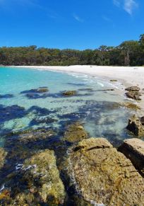 Shoalhaven Bölgesi