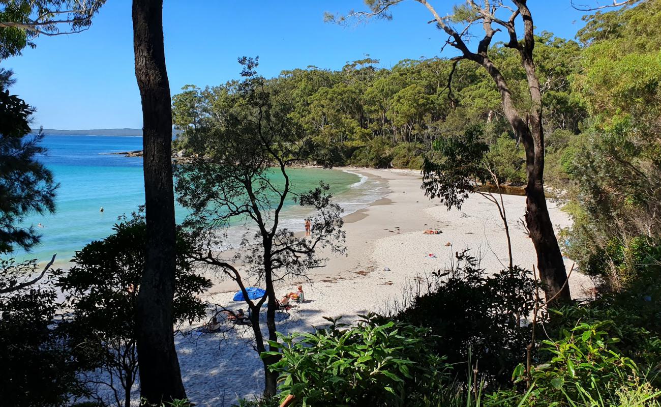 Blenheim Beach'in fotoğrafı beyaz ince kum yüzey ile