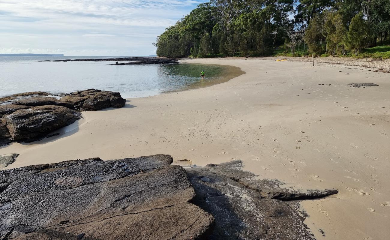 Shark Net Beach'in fotoğrafı açık bej kum yüzey ile