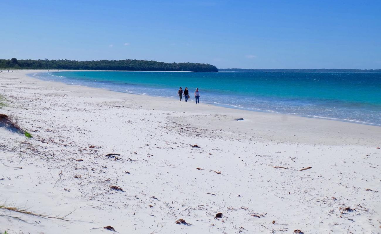 Callala Beach'in fotoğrafı i̇nce beyaz kum yüzey ile