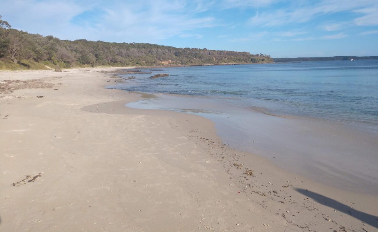Cabbage Tree Beach'in fotoğrafı açık bej kum yüzey ile