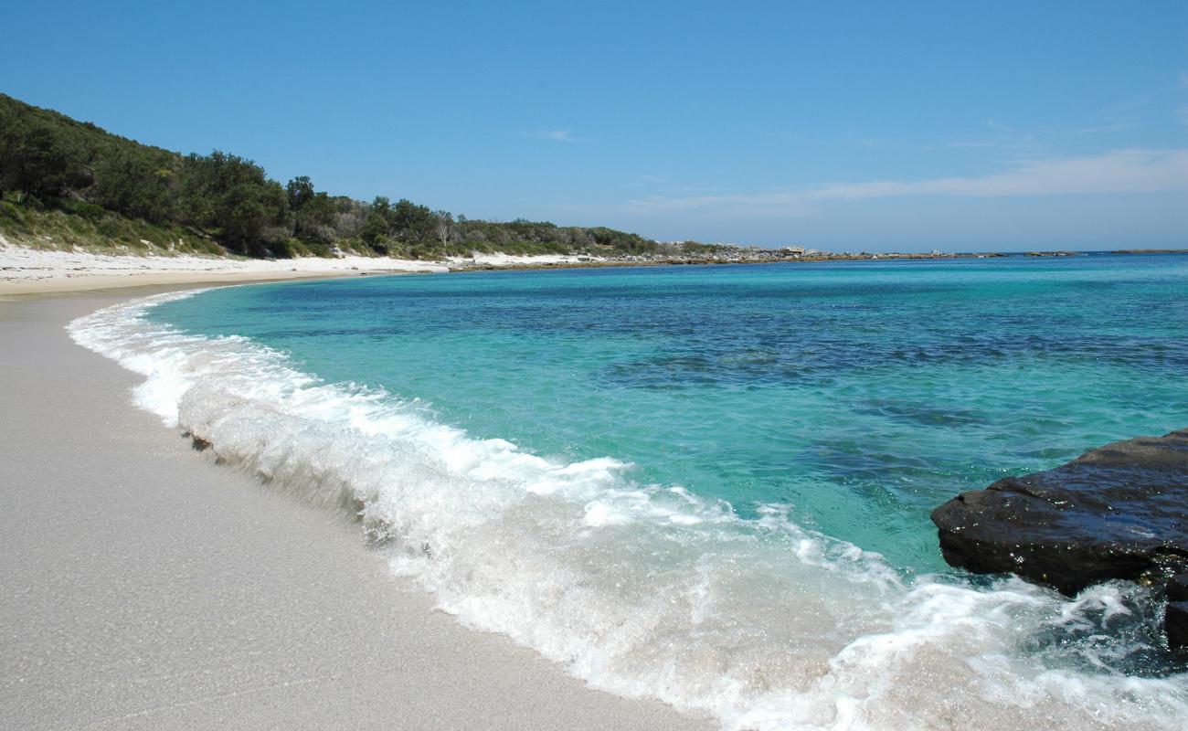 Silica Cove Beach'in fotoğrafı parlak kum yüzey ile