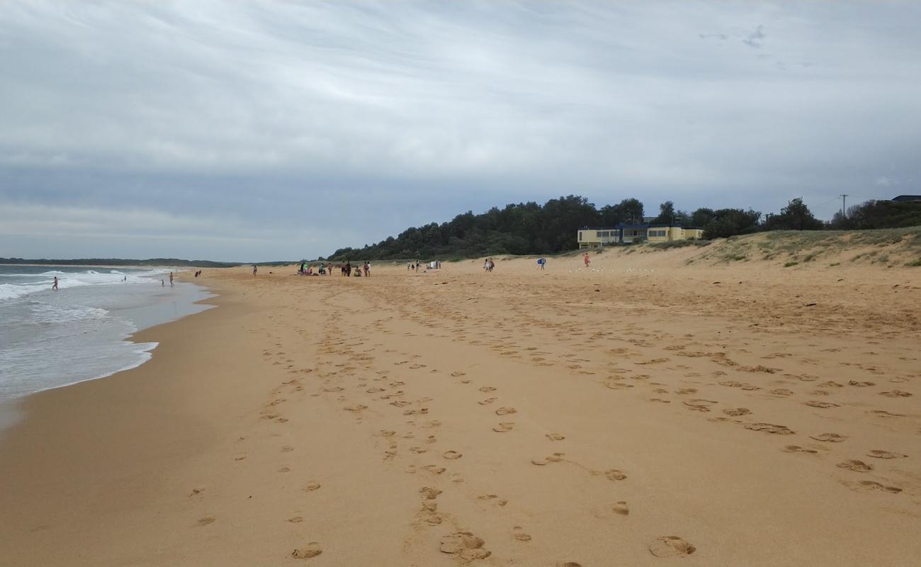 Wollumboola Beach'in fotoğrafı i̇nce bej kum yüzey ile