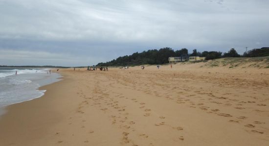 Wollumboola Beach